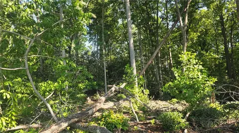 lot122 Pine Tree Dr, Spruce Pine, NC 28777 photo 3