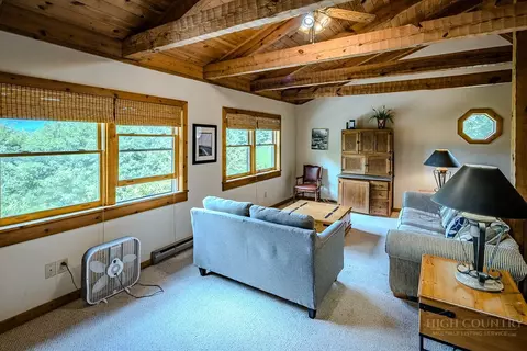 Living - 230 Hawks Bill Dr, Banner Elk, NC 28604 photo 5 of 6