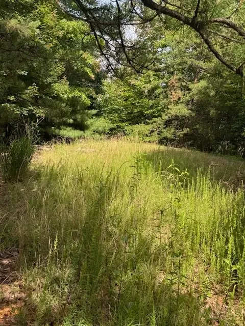 79 Elk Horn Rd, Ferguson, NC 28624 photo 8