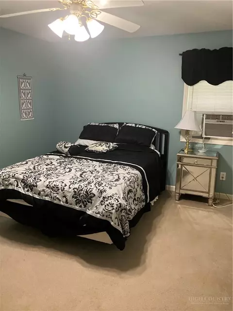 364 Roy E Brown Rd, Vilas, NC 28692 photo 10