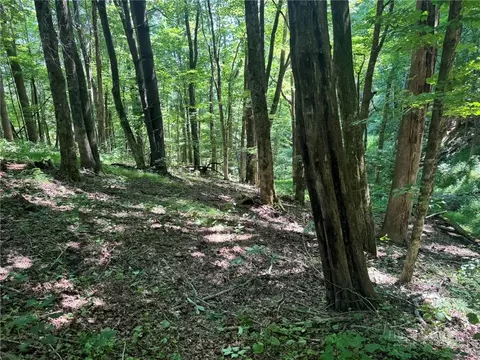 tbd Alida Ct, Boone, NC 28607 photo 5