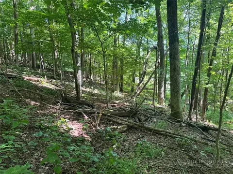 tbd Alida Ct, Boone, NC 28607 photo 4