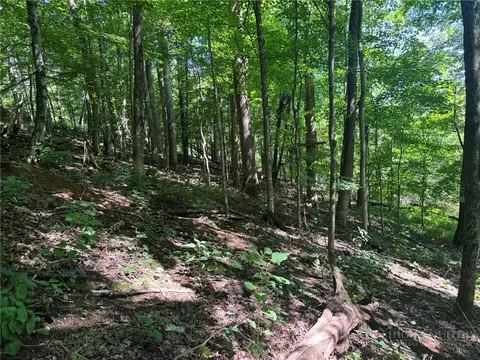 tbd Alida Ct, Boone, NC 28607 photo 10