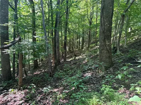 tbd Alida Ct, Boone, NC 28607 photo 16