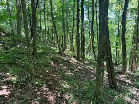 tbd Alida Ct, Boone, NC 28607 photo 6