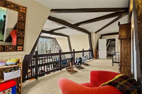 Entry Way - 207 Pinnacle Ridge Rd, Beech Mountain, NC 28604 photo 6 of 7