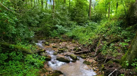 tbd Big Ivy Rd, Purlear, NC 28665 photo 8