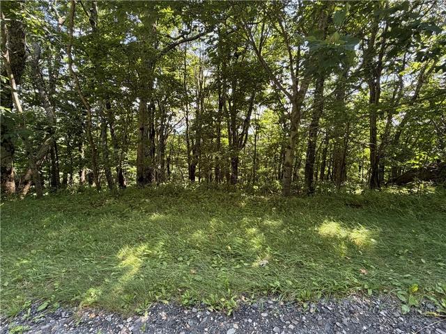 tbd Pinnacle Dr, West Jefferson, NC 28694