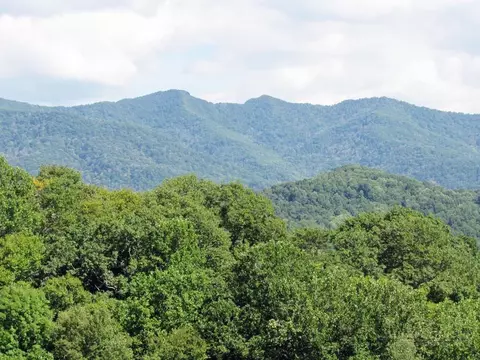 tbd Little Laurel Rd, Creston, NC 28615