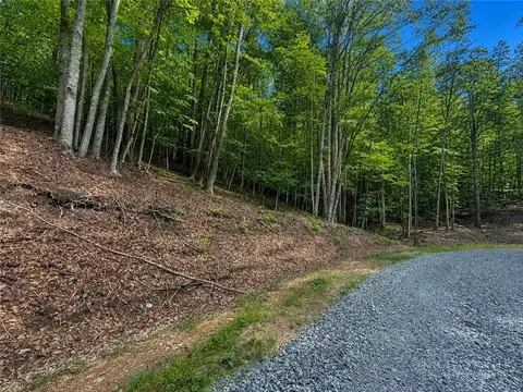 146 Sassafrass Rd, Beech Mountain, NC 28604 photo 3