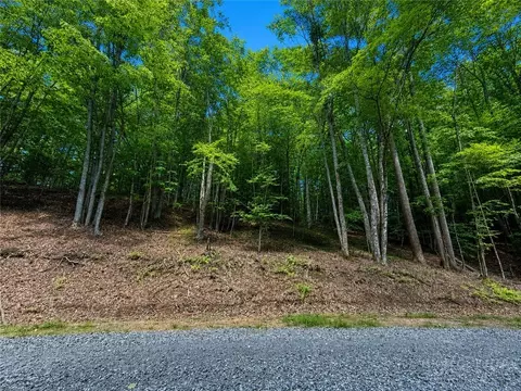 146 Sassafrass Rd, Beech Mountain, NC 28604 photo 2