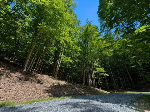 146 Sassafrass Rd, Beech Mountain, NC 28604