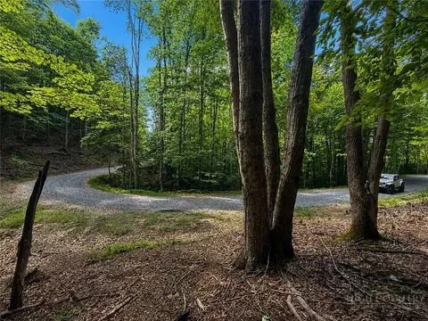 146 Sassafrass Rd, Beech Mountain, NC 28604 photo 5