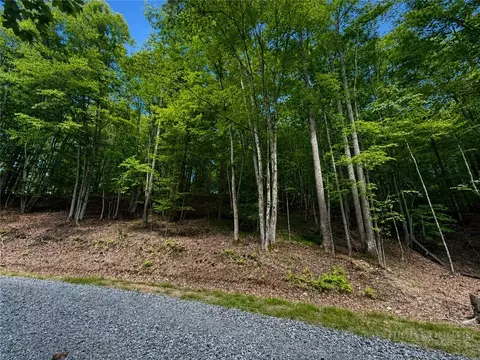 146 Sassafrass Rd, Beech Mountain, NC 28604 photo 4