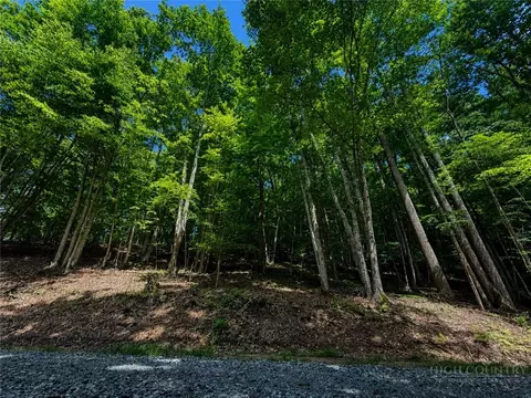 146 Sassafrass Rd, Beech Mountain, NC 28604 photo 7