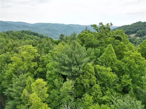 4 Fox Cove Rd, Ferguson, NC 28624 photo 2