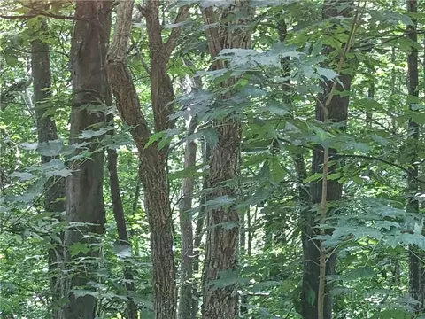 lot90 Thorncliff Dr, Seven Devils, NC 28607 photo 4