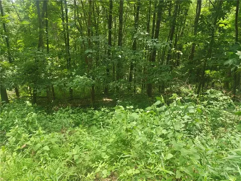 lot90 Thorncliff Dr, Seven Devils, NC 28607 photo 2