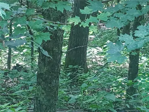 lot90 Thorncliff Dr, Seven Devils, NC 28607 photo 5