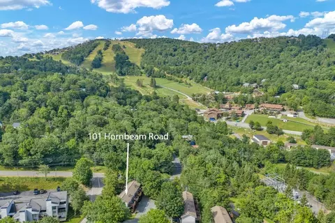 View/Area - 101 Hornbeam Rd #1D, Beech Mountain, NC 28604 photo 2 of 6