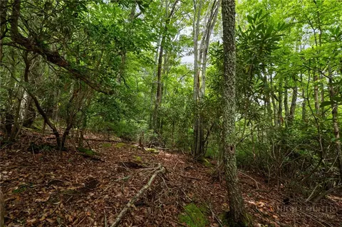 lot2 Heavenly Mountain Dr, Boone, NC 28607 photo 4