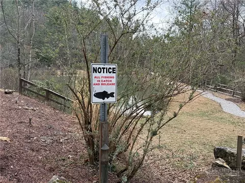 lot222 Casey Mountain Rd, Purlear, NC 28665 photo 24