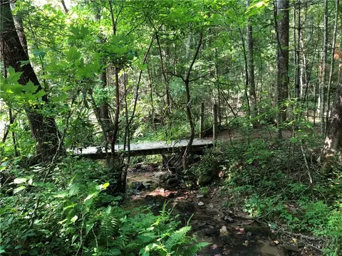 lot222 Casey Mountain Rd, Purlear, NC 28665 photo 22