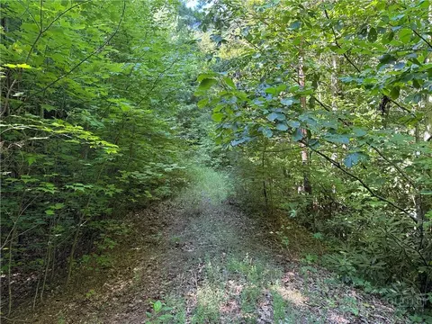 lot222 Casey Mountain Rd, Purlear, NC 28665 photo 4