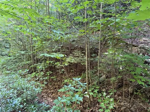 lot222 Casey Mountain Rd, Purlear, NC 28665 photo 5