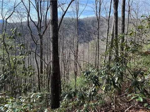 tbd Little Rock Canyon Rd, Lenoir, NC 28645