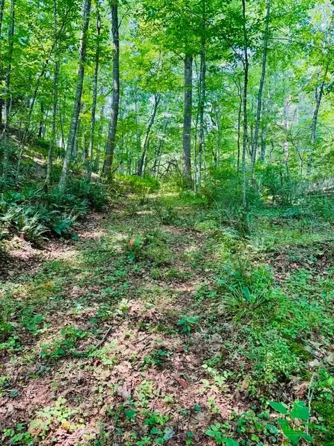 tbd Grassy Creek Rd, Grassy Creek, NC 28631
