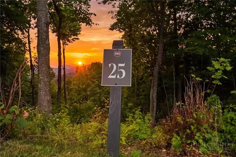 lot25 Forest Oaks Dr, Elk Park, NC 28622
