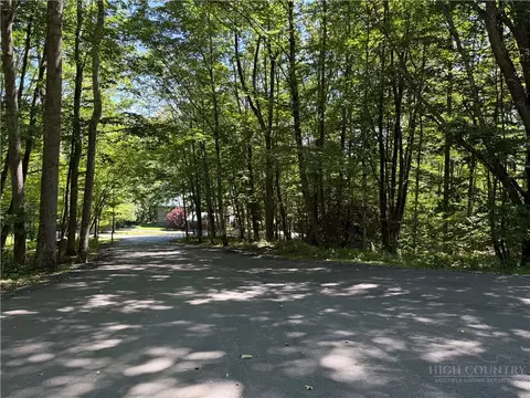 7 Wolfsbane Ln, Todd, NC 28684 photo 22
