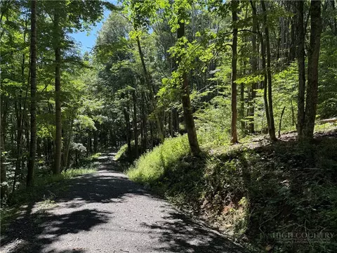 7 Wolfsbane Ln, Todd, NC 28684 photo 20