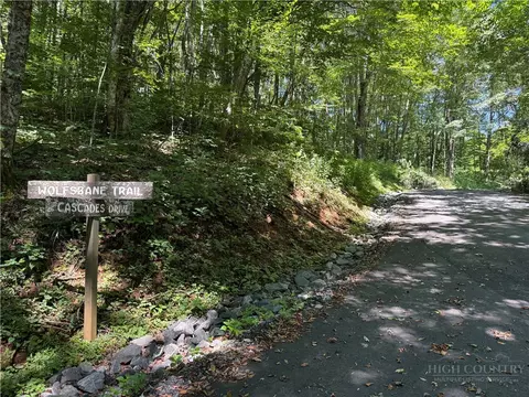 7 Wolfsbane Ln, Todd, NC 28684 photo 25