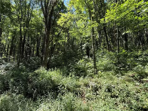 7 Wolfsbane Ln, Todd, NC 28684 photo 3