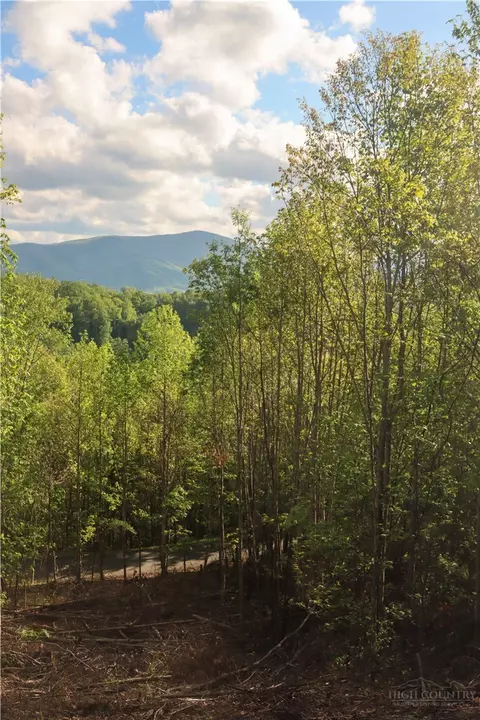 lot25 Tbd Lake View Dr, Elk Park, NC 28622