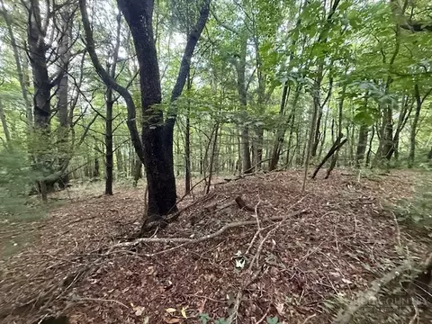 lot35 36 Walter Godbey Rd, West Jefferson, NC 28694