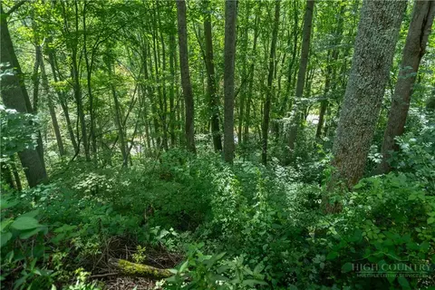 tbd Stonegate Ln, Creston, NC 28615 photo 6