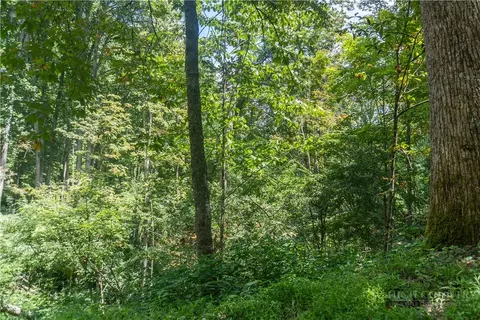 tbd Stonegate Ln, Creston, NC 28615 photo 5