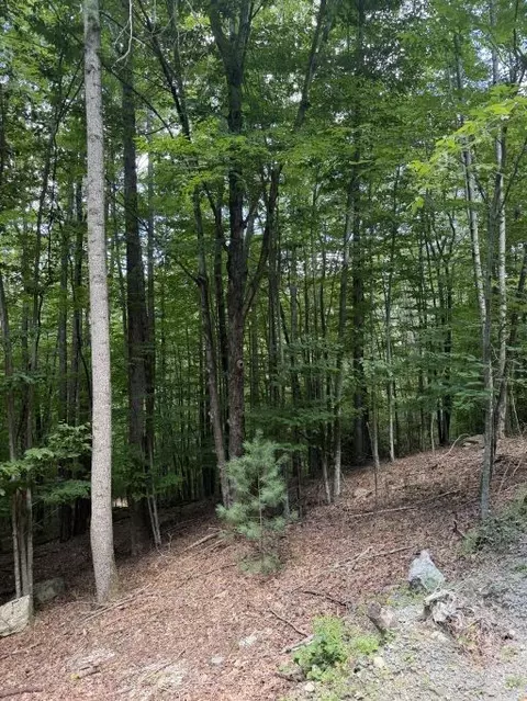 141 Sassafrass Rd, Beech Mountain, NC 28604
