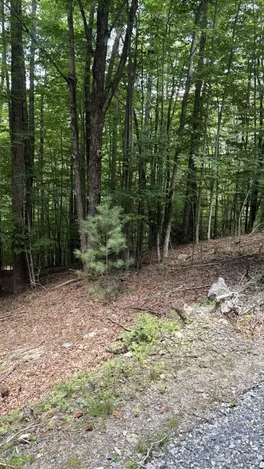 141 Sassafrass Rd, Beech Mountain, NC 28604 photo 3