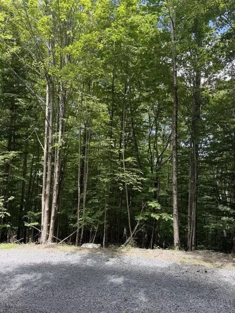 141 Sassafrass Rd, Beech Mountain, NC 28604 photo 5