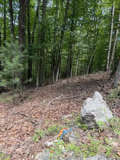 141 Sassafrass Rd, Beech Mountain, NC 28604 photo 9