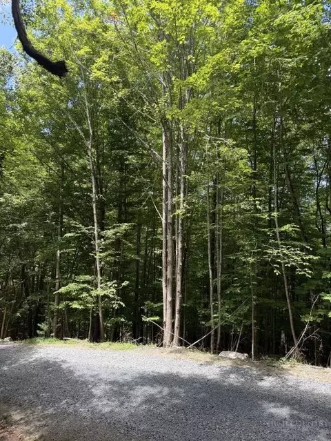 141 Sassafrass Rd, Beech Mountain, NC 28604 photo 6