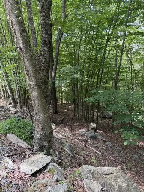 141 Sassafrass Rd, Beech Mountain, NC 28604 photo 4