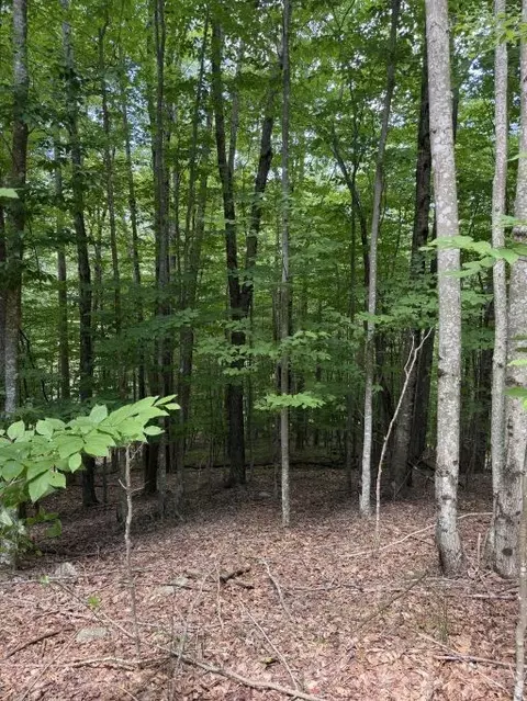 141 Sassafrass Rd, Beech Mountain, NC 28604 photo 8