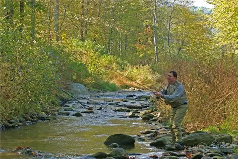 Other - 164 Evening View Ln #CB5, Boone, NC 28607 photo 7 of 7