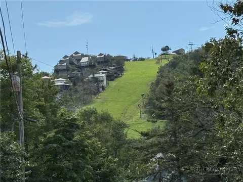 Other - 123 Skiway Cir, Beech Mountain, NC 28604 photo 9 of 9