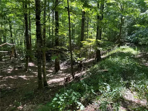 tbd Maple Branch Rd, West Jefferson, NC 28694